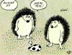 Football entre hérissons
